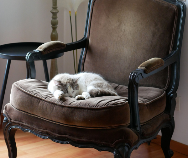 armchair